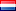 Dutch Translation